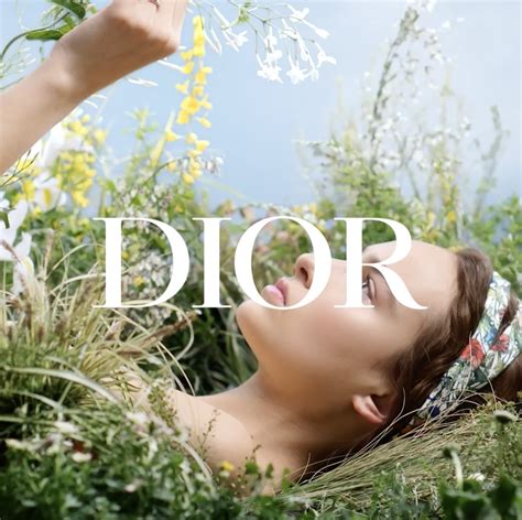 tcfd correspondent christian dior|dior sustainability events.